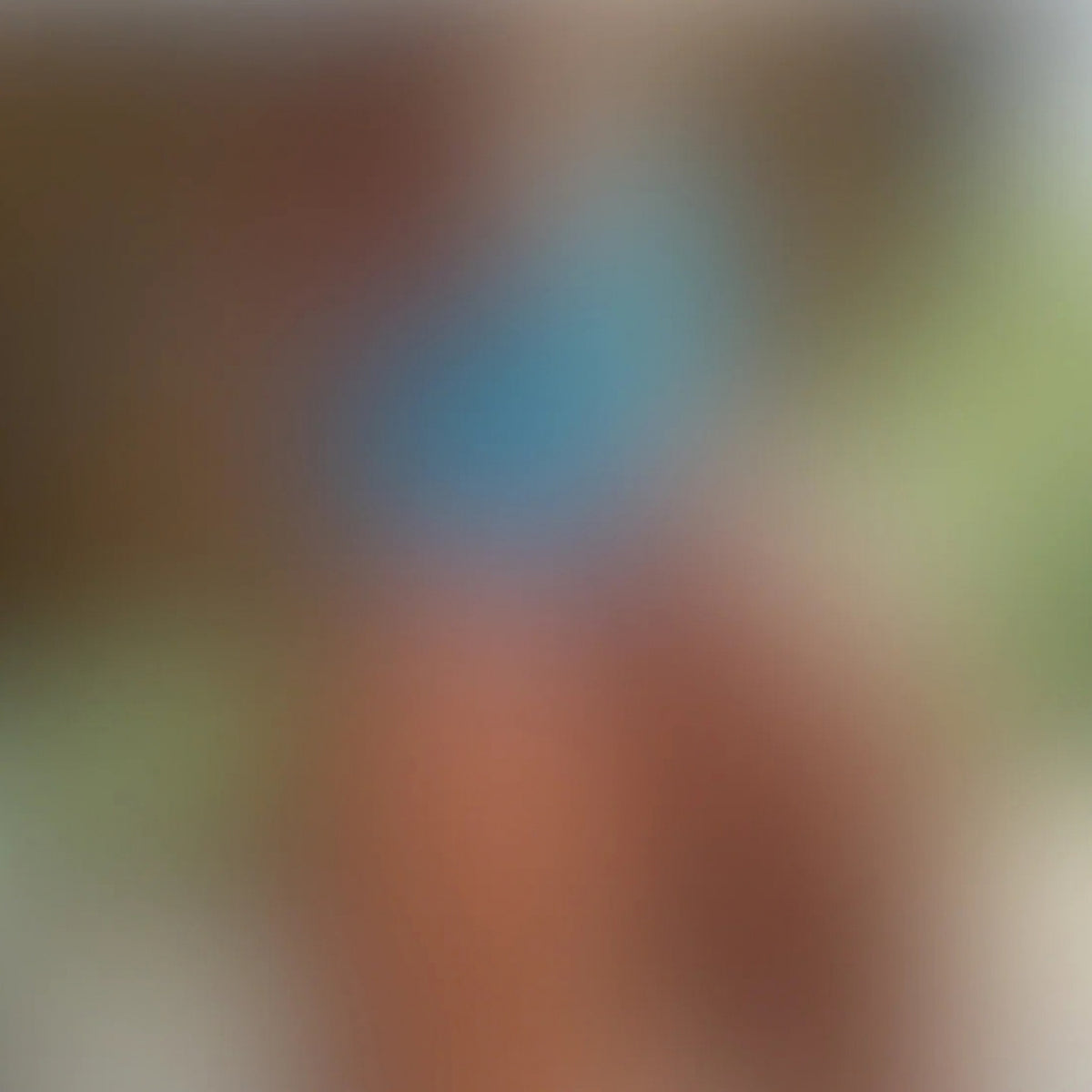 like this...? (5 pics 2 videos)