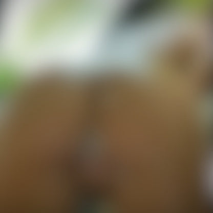 coochie (4 pics 1 video)