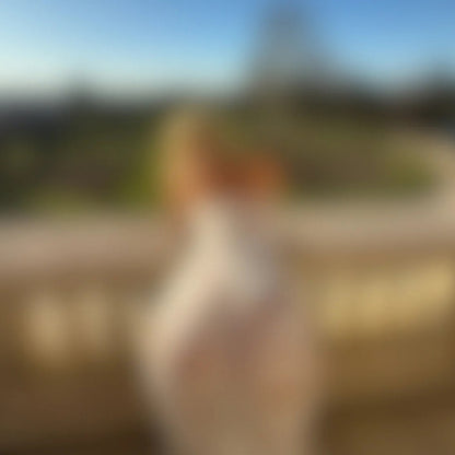 oops (6 pics 1 video)
